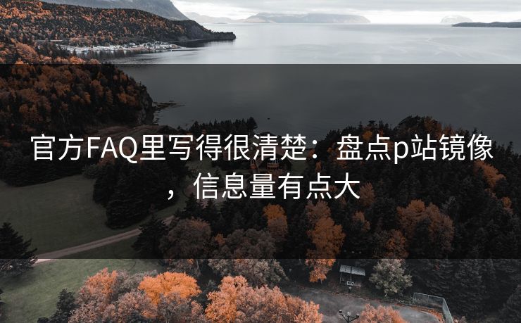 官方FAQ里写得很清楚：盘点p站镜像，信息量有点大