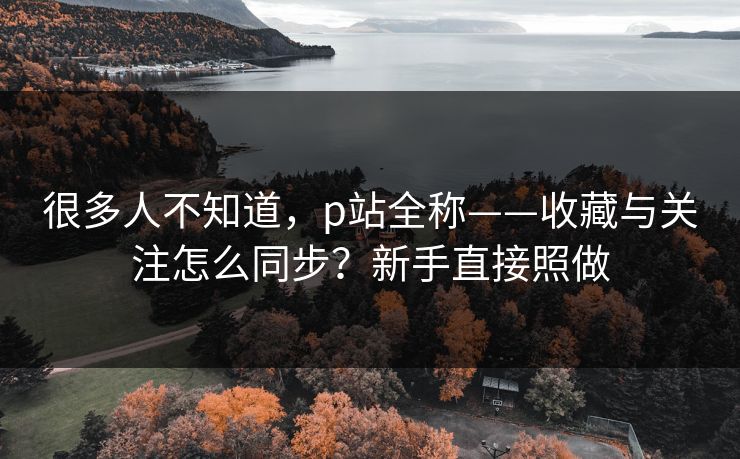 很多人不知道，p站全称——收藏与关注怎么同步？新手直接照做