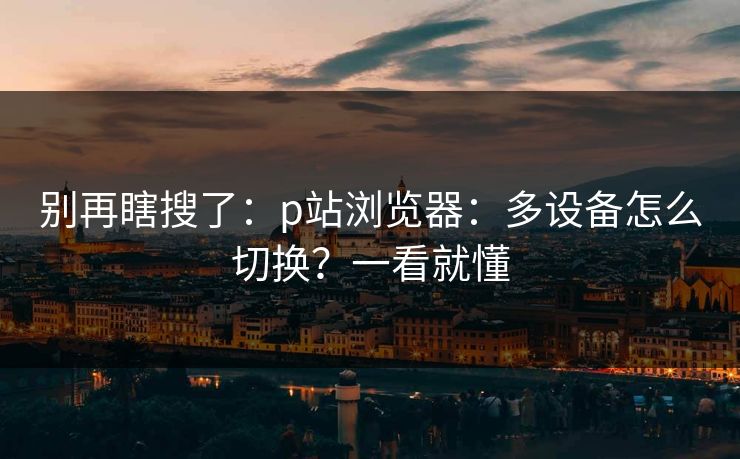 别再瞎搜了：p站浏览器：多设备怎么切换？一看就懂