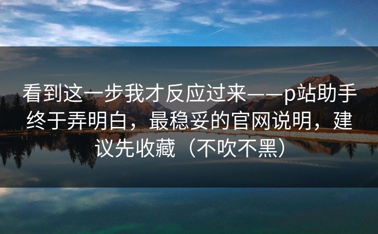 看到这一步我才反应过来——p站助手终于弄明白，最稳妥的官网说明，建议先收藏（不吹不黑）