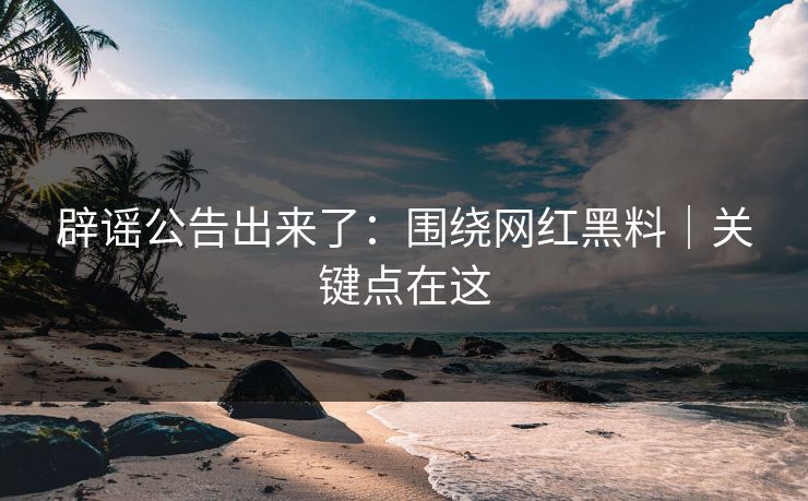 辟谣公告出来了：围绕网红黑料｜关键点在这