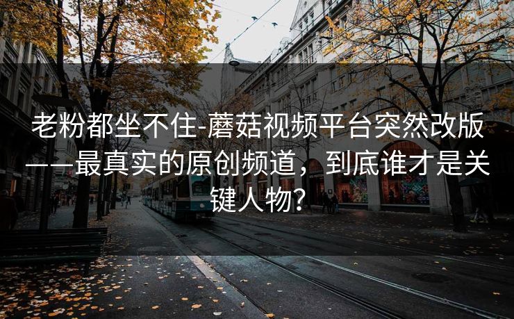 老粉都坐不住-蘑菇视频平台突然改版——最真实的原创频道，到底谁才是关键人物？