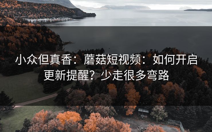 小众但真香：蘑菇短视频：如何开启更新提醒？少走很多弯路