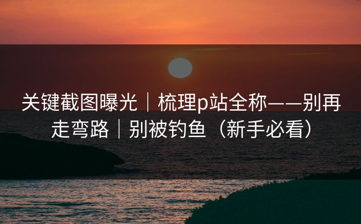 关键截图曝光｜梳理p站全称——别再走弯路｜别被钓鱼（新手必看）
