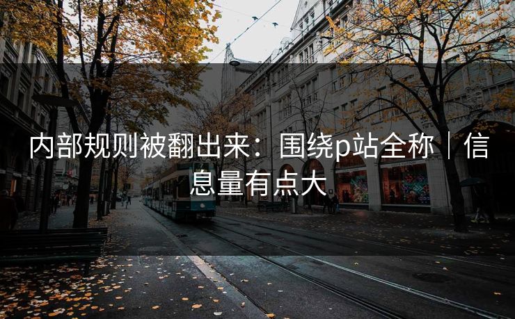 内部规则被翻出来：围绕p站全称｜信息量有点大