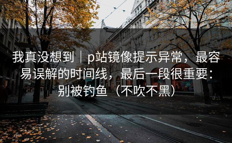 我真没想到｜p站镜像提示异常，最容易误解的时间线，最后一段很重要：别被钓鱼（不吹不黑）