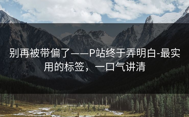 别再被带偏了——P站终于弄明白-最实用的标签，一口气讲清