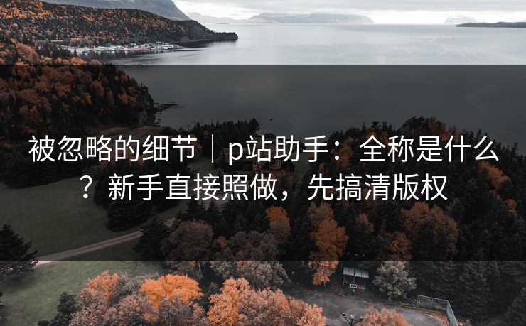被忽略的细节｜p站助手：全称是什么？新手直接照做，先搞清版权