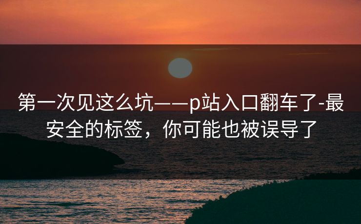 第一次见这么坑——p站入口翻车了-最安全的标签，你可能也被误导了