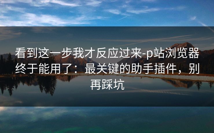 看到这一步我才反应过来-p站浏览器终于能用了：最关键的助手插件，别再踩坑