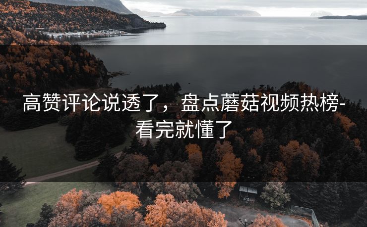高赞评论说透了，盘点蘑菇视频热榜-看完就懂了