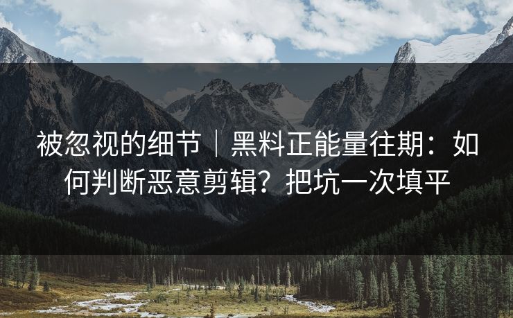 被忽视的细节｜黑料正能量往期：如何判断恶意剪辑？把坑一次填平