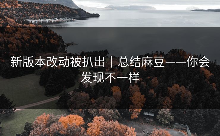 新版本改动被扒出｜总结麻豆——你会发现不一样