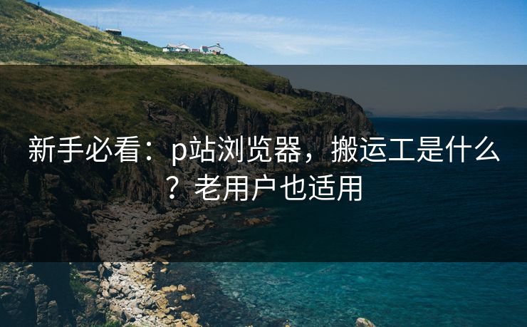 新手必看：p站浏览器，搬运工是什么？老用户也适用